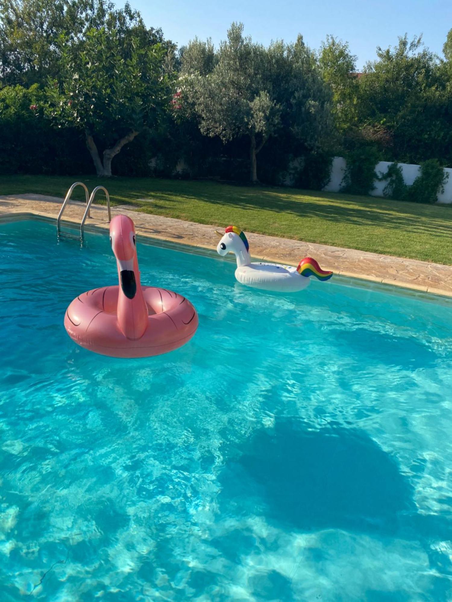 Relaxing Villa With Swimming Pool And Garden Agios Georgios  Esterno foto